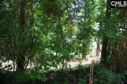 415 Alice Harris Road  photo 4