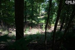 415 Alice Harris Road  photo 4