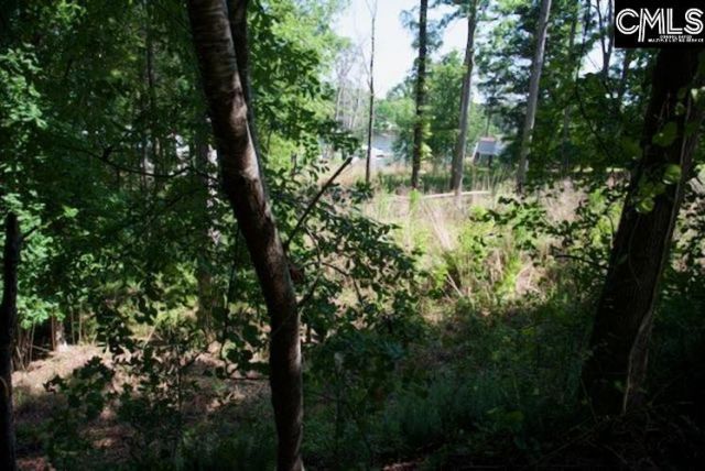 415 Alice Harris Road Photo 4