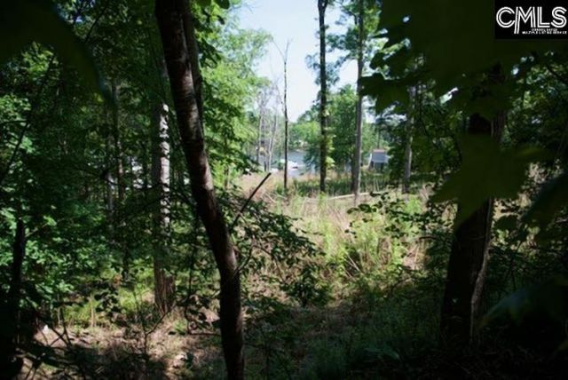 415 Alice Harris Road  Photo 4