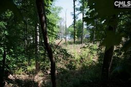 415 Alice Harris Road  photo 4