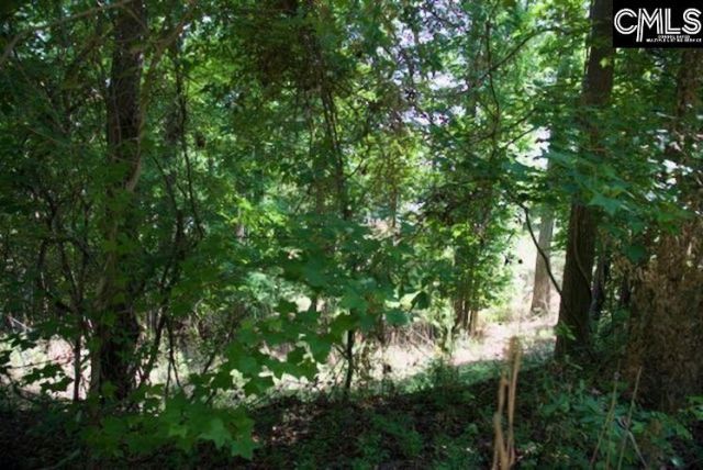 415 Alice Harris Road Photo 5