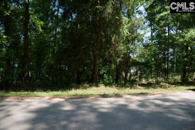 415 Alice Harris Road  Photo 5