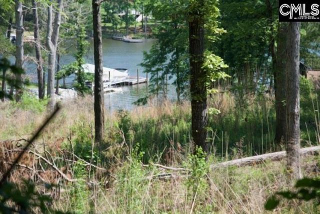 415 Alice Harris Road  Photo 6