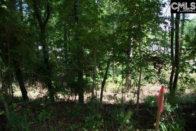 415 Alice Harris Road  Photo 7