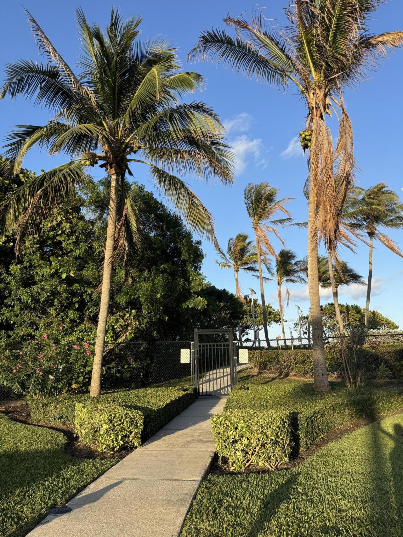 401 Ocean Bluffs Boulevard, Unit 303, Jupiter, FL 33477 Photo