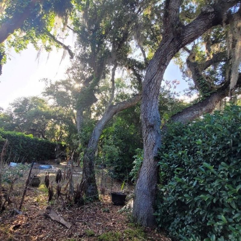 991 Old Cutler Road , Lake Wales, FL 33898 Photo
