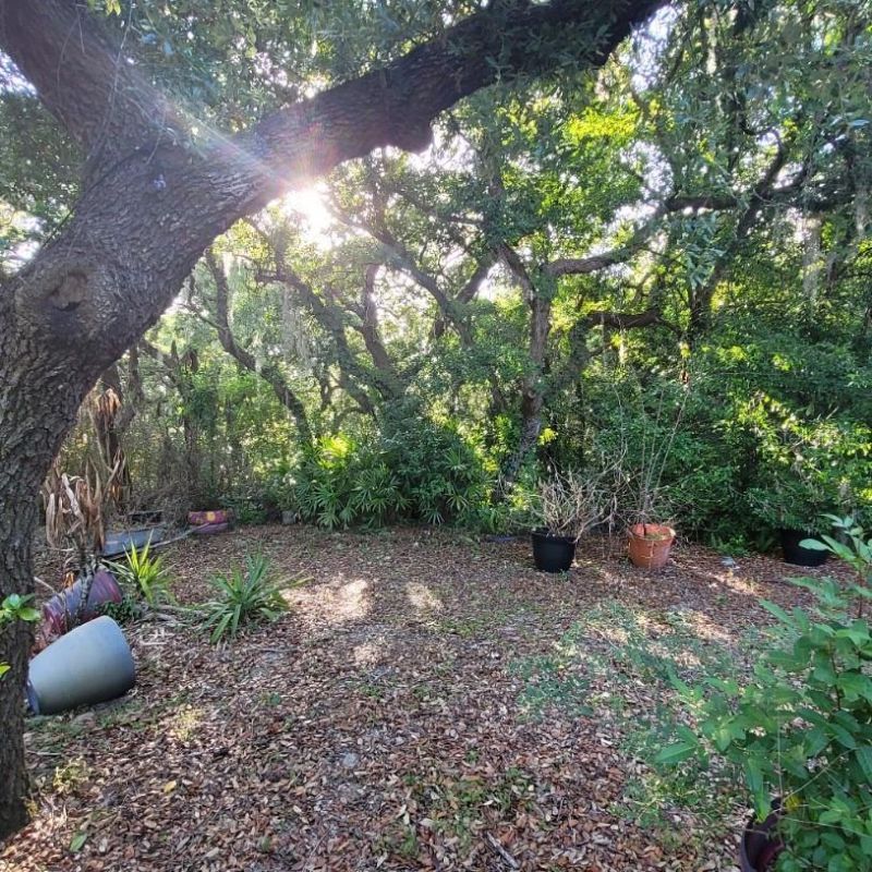 991 Old Cutler Road , Lake Wales, FL 33898 Photo