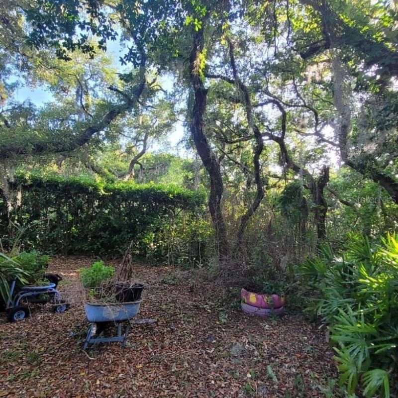 991 Old Cutler Road , Lake Wales, FL 33898 Photo