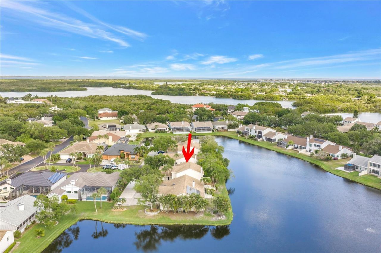 1044 Romano Court Ne, Saint Petersburg, FL 33702 Photo