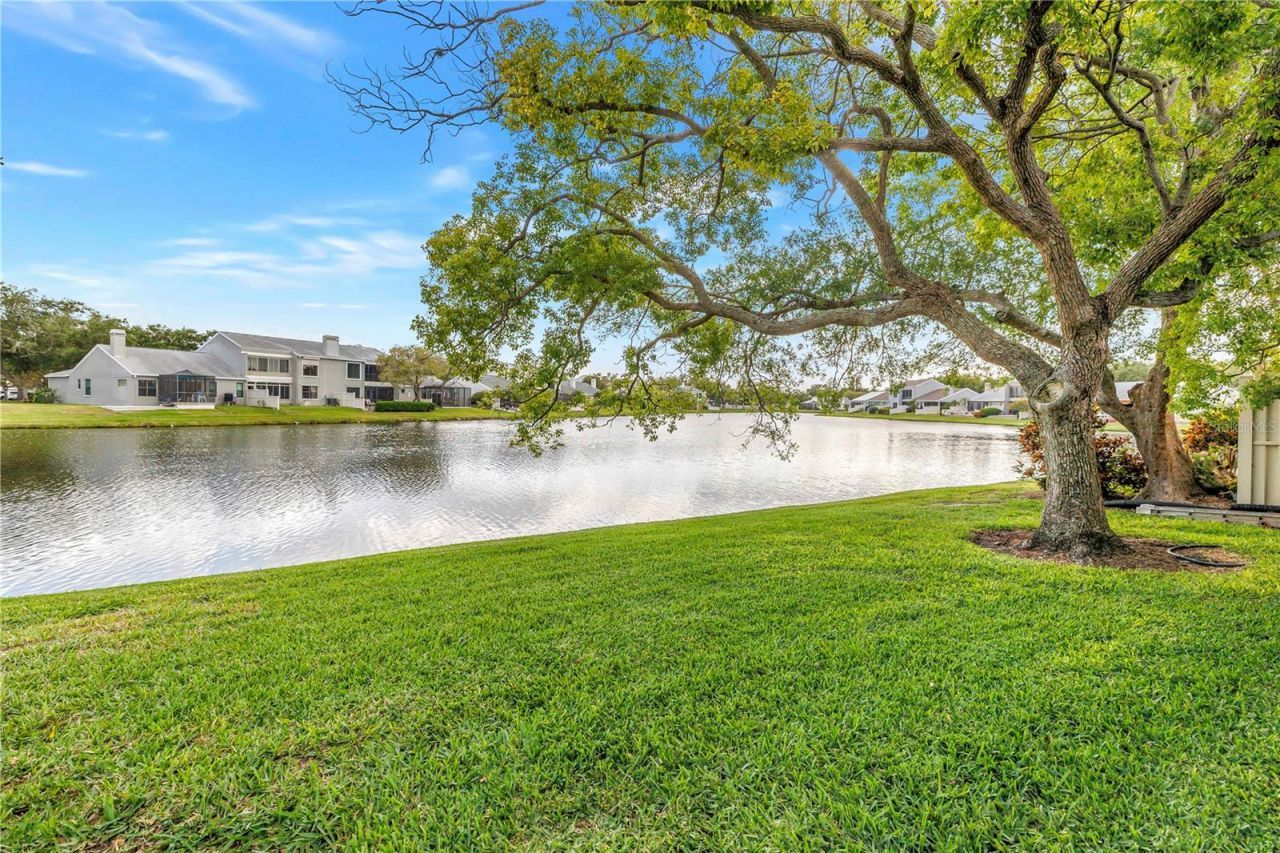 1044 Romano Court Ne, Saint Petersburg, FL 33702 Photo