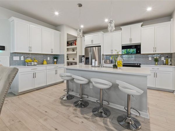 4062 CLOUD HOPPER WAY, LUTZ, FL 33559