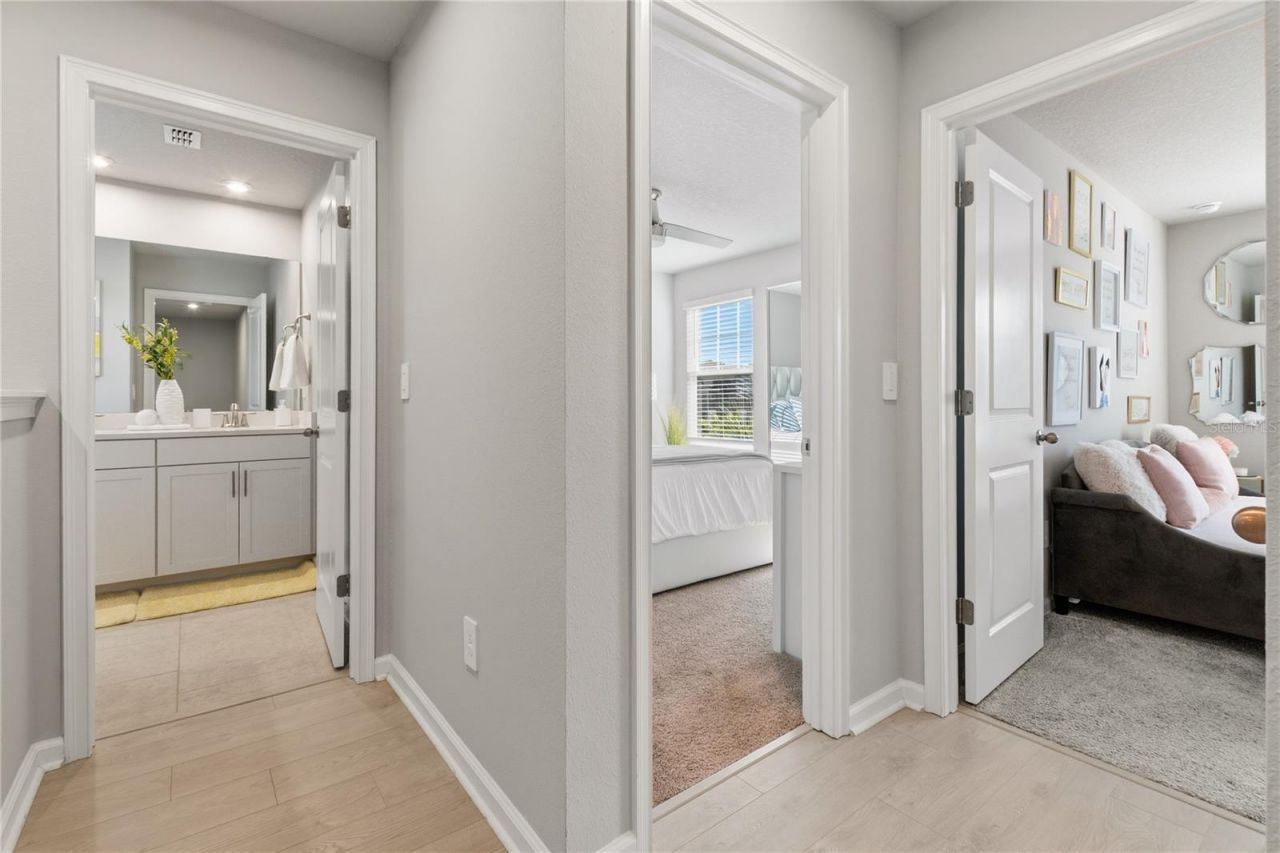 4062 Cloud Hopper Way, Lutz, FL 33559 Photo