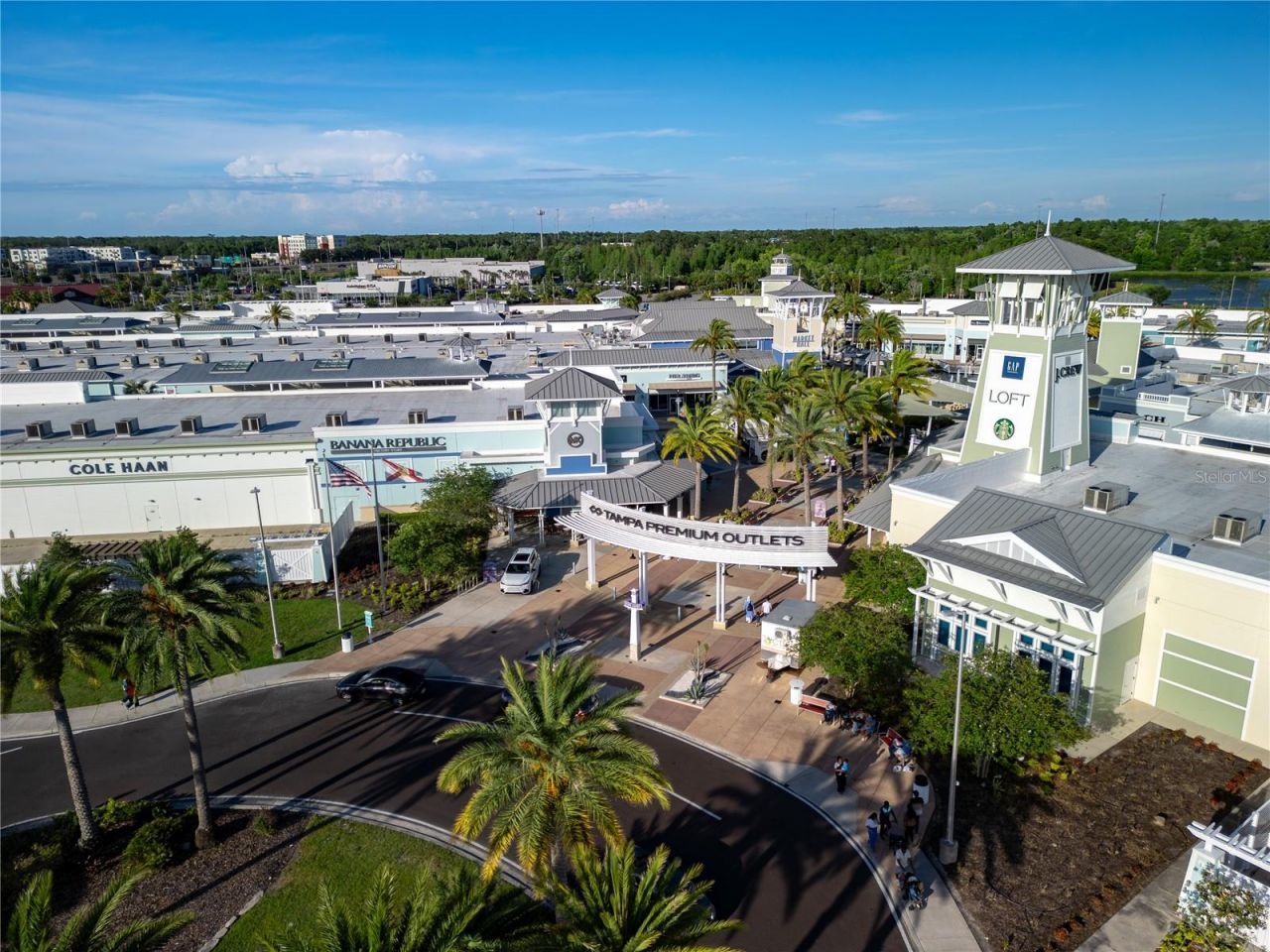 4062 Cloud Hopper Way, Lutz, FL 33559 Photo