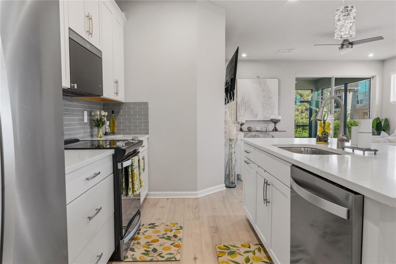4062 Cloud Hopper Way, Lutz, FL 33559 Photo