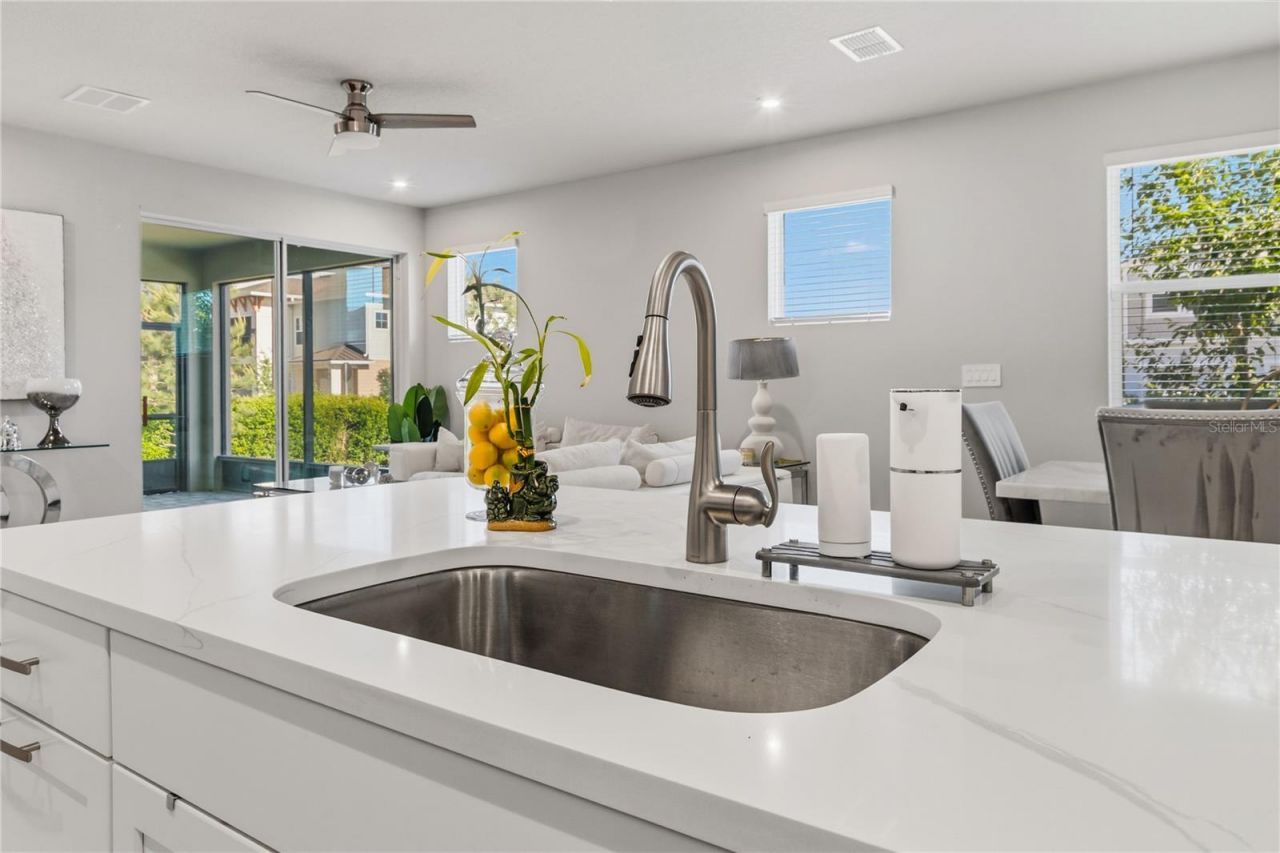 4062 Cloud Hopper Way, Lutz, FL 33559 Photo