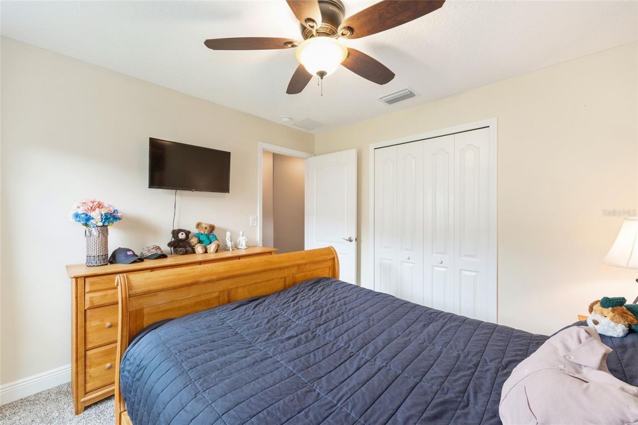 4258 James River Circle, Leesburg, FL 34748 Photo