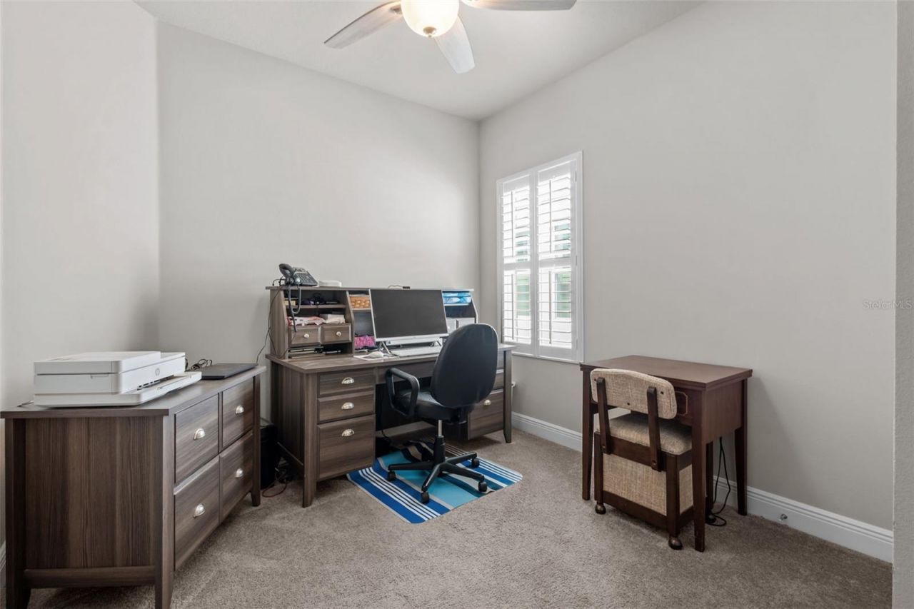 15180 Renaissance Avenue, Odessa, FL 33556 Photo