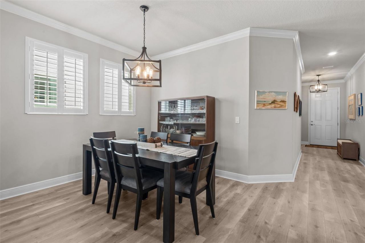 15180 Renaissance Avenue, Odessa, FL 33556 Photo