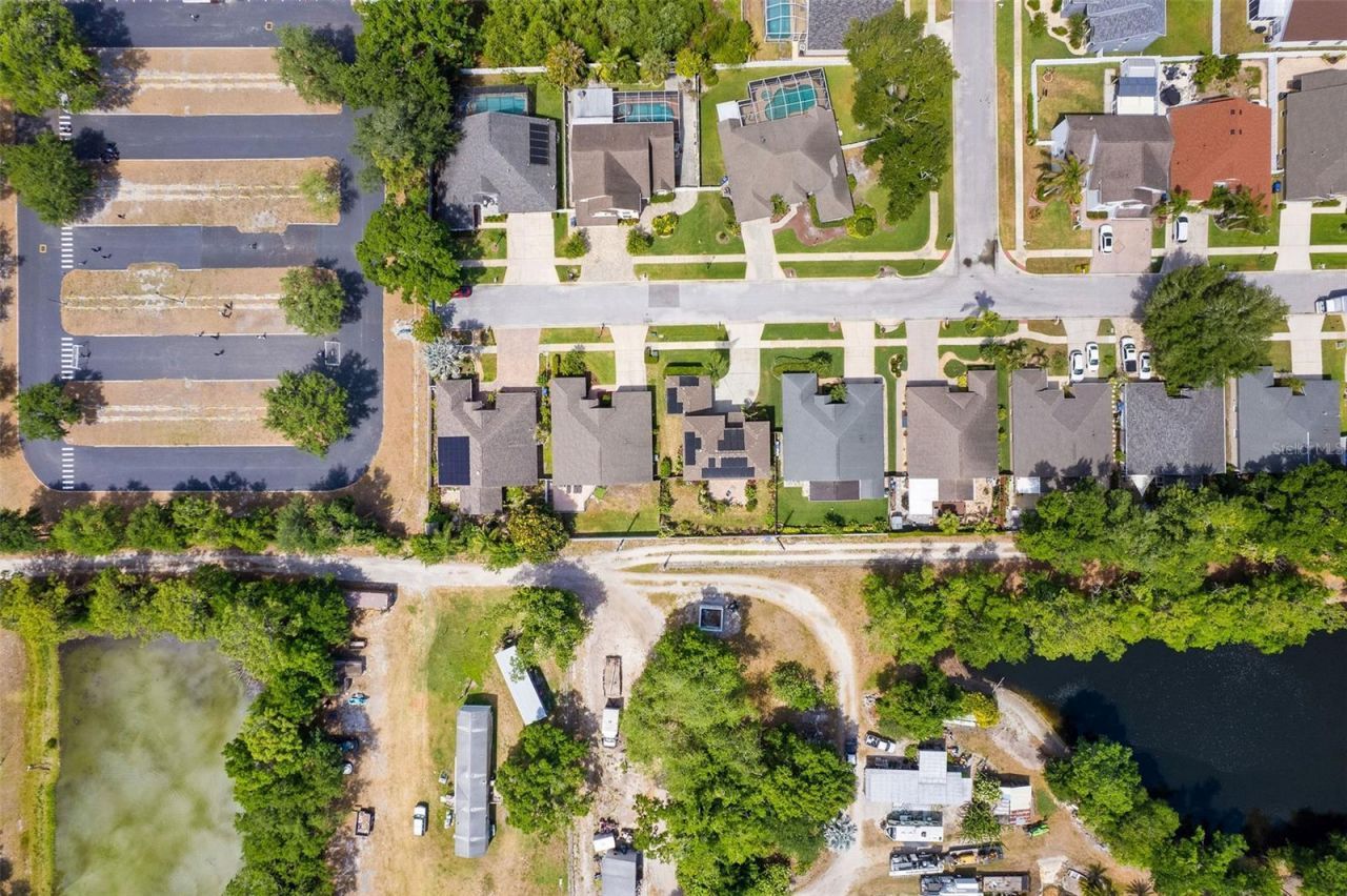 10903 Arbor Ridge Drive, Tampa, FL 33624 Photo
