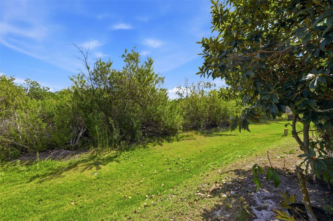 615 Saxony Boulevard, Saint Petersburg, FL 33716 Photo