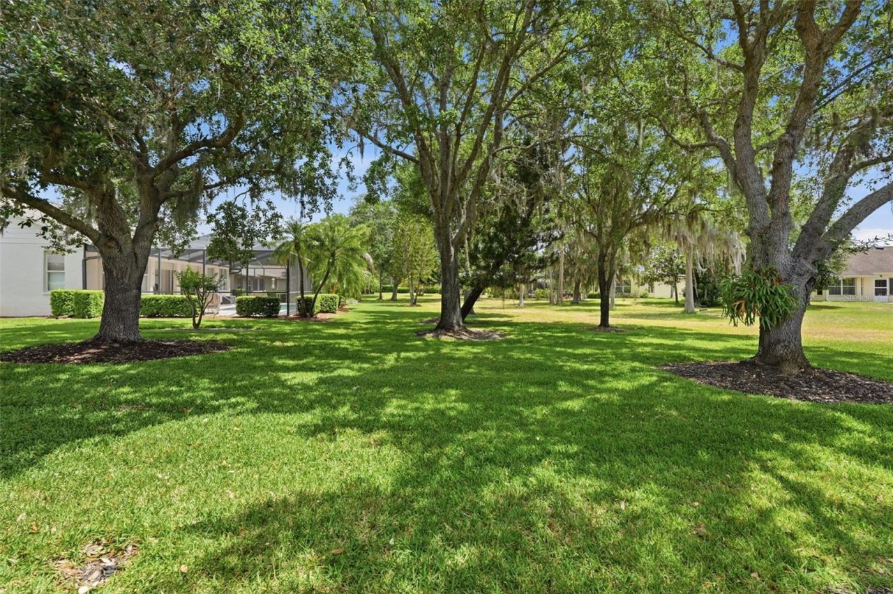 1444 Canberley Court, Trinity, FL 34655 Photo