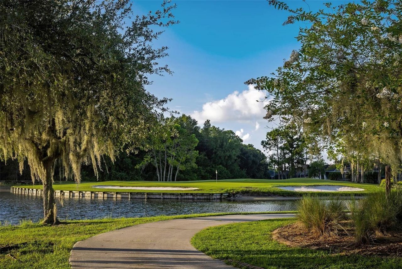 1444 Canberley Court, Trinity, FL 34655 Photo