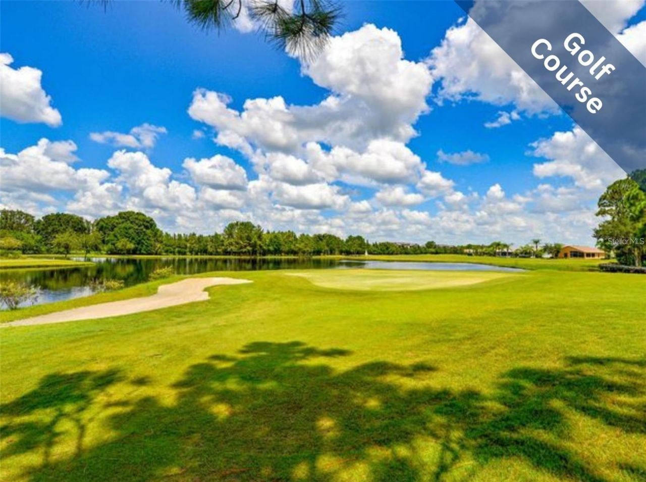 1444 Canberley Court, Trinity, FL 34655 Photo