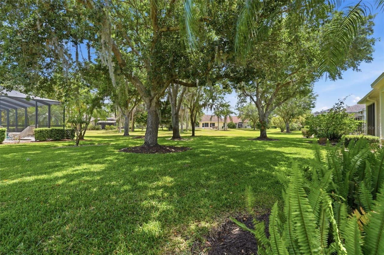1444 Canberley Court, Trinity, FL 34655 Photo