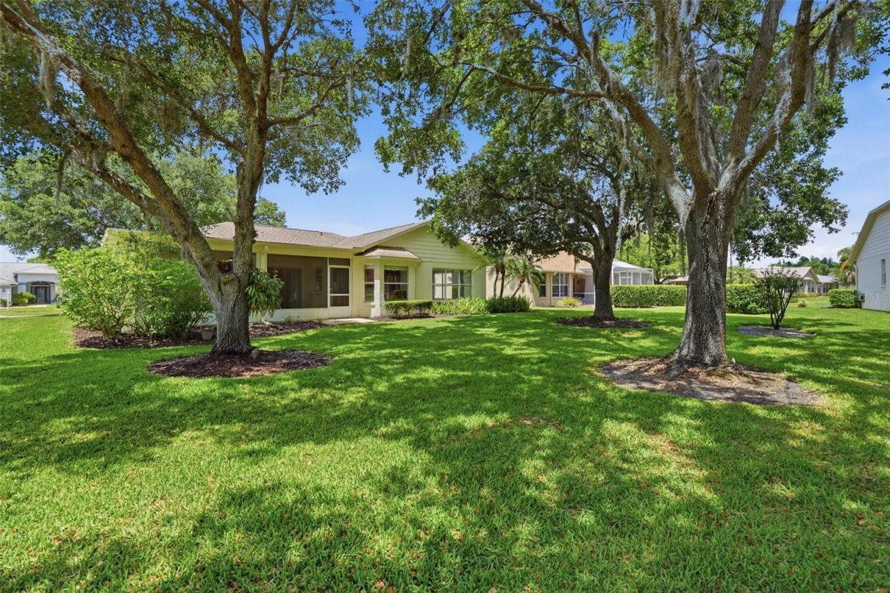 1444 Canberley Court, Trinity, FL 34655 Photo