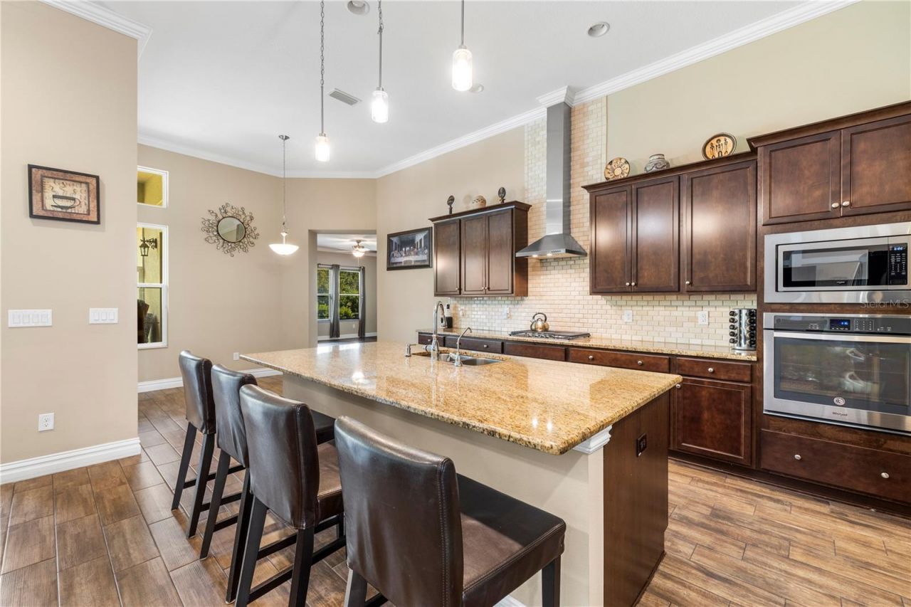 16726 Courtyard Loop, Land O Lakes, FL 34638 Photo