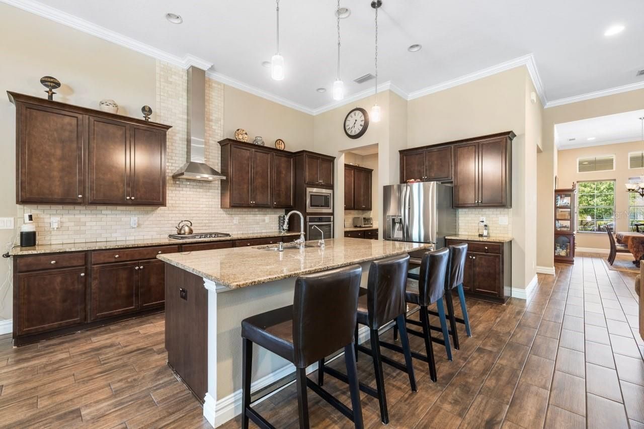 16726 Courtyard Loop, Land O Lakes, FL 34638 Photo