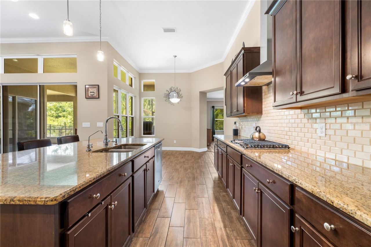 16726 Courtyard Loop, Land O Lakes, FL 34638 Photo