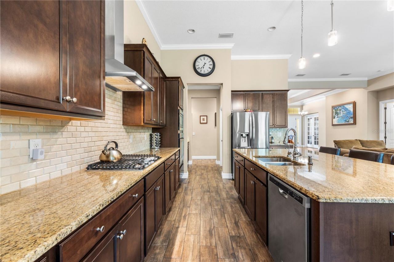 16726 Courtyard Loop, Land O Lakes, FL 34638 Photo