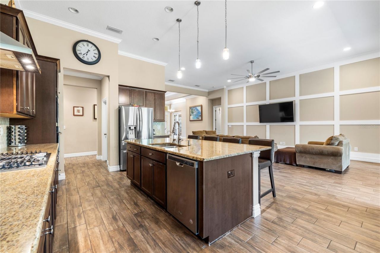 16726 Courtyard Loop, Land O Lakes, FL 34638 Photo