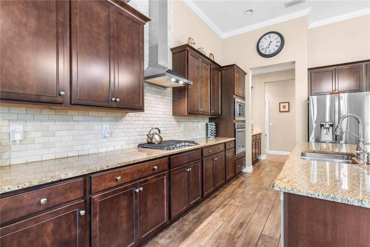 16726 Courtyard Loop, Land O Lakes, FL 34638 Photo