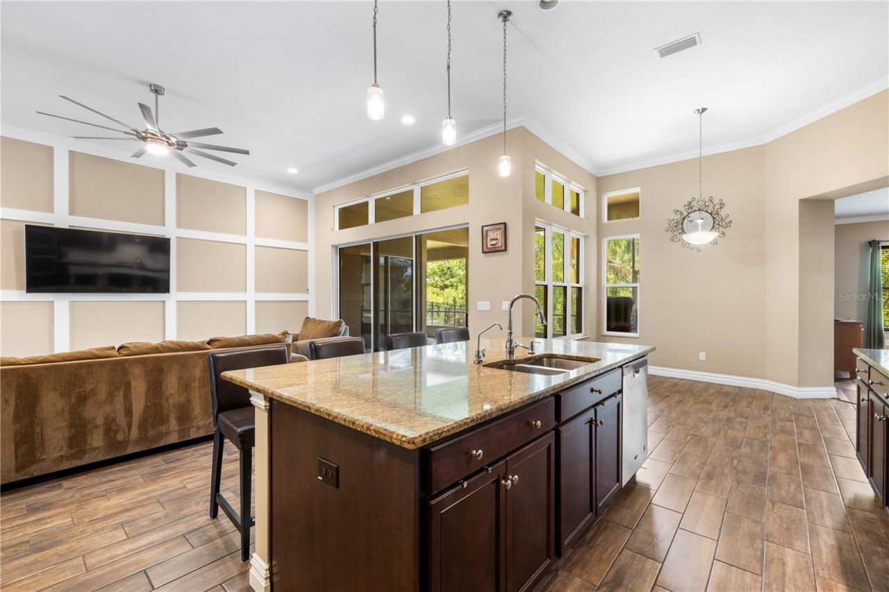 16726 Courtyard Loop, Land O Lakes, FL 34638 Photo