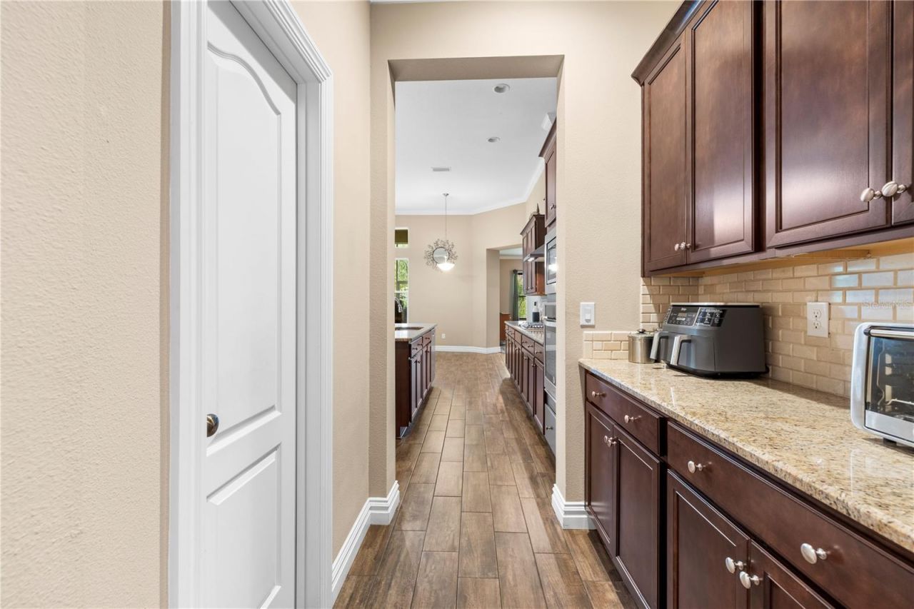 16726 Courtyard Loop, Land O Lakes, FL 34638 Photo