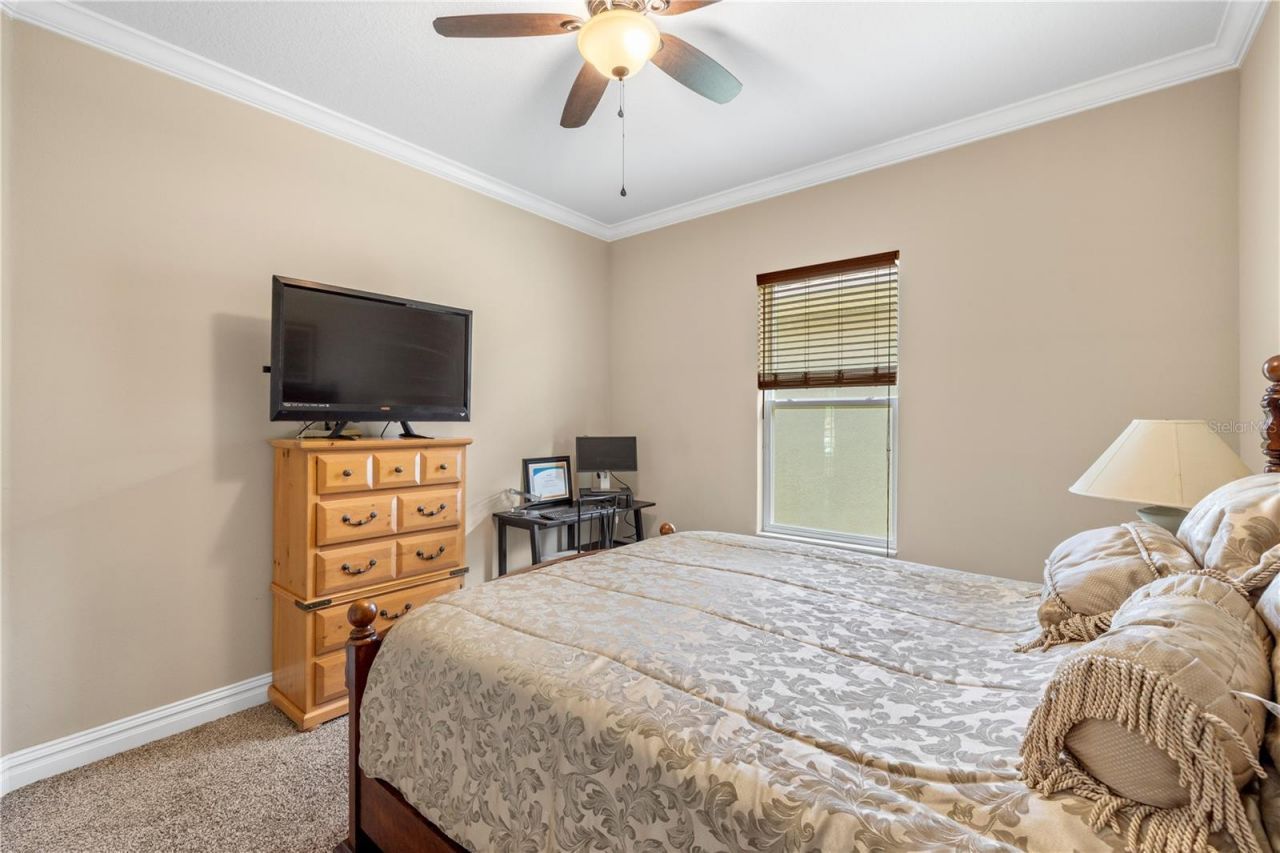 16726 Courtyard Loop, Land O Lakes, FL 34638 Photo