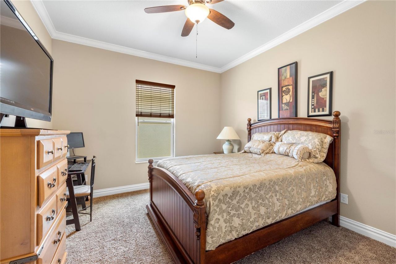 16726 Courtyard Loop, Land O Lakes, FL 34638 Photo