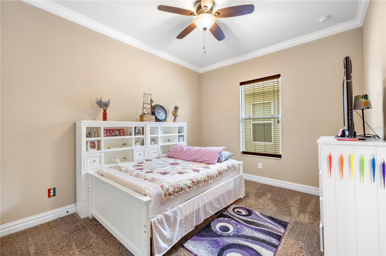 16726 Courtyard Loop, Land O Lakes, FL 34638 Photo