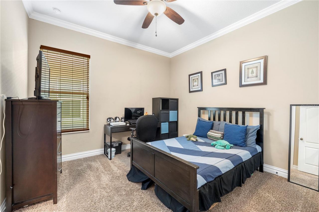 16726 Courtyard Loop, Land O Lakes, FL 34638 Photo