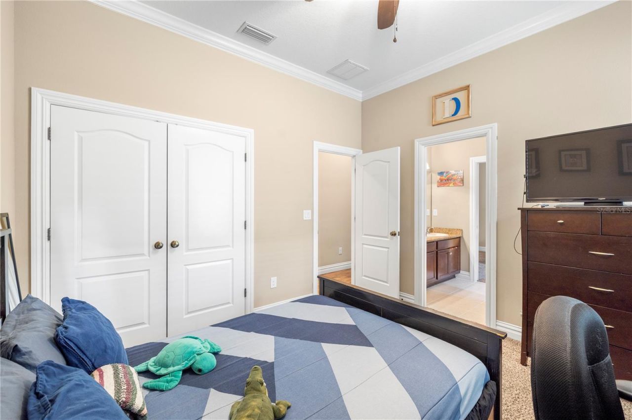 16726 Courtyard Loop, Land O Lakes, FL 34638 Photo
