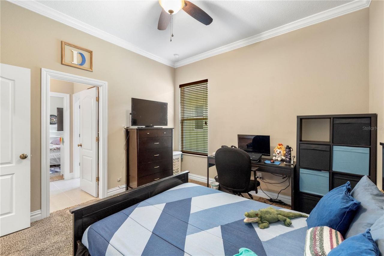 16726 Courtyard Loop, Land O Lakes, FL 34638 Photo