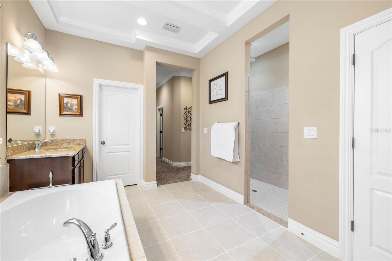 16726 Courtyard Loop, Land O Lakes, FL 34638 Photo