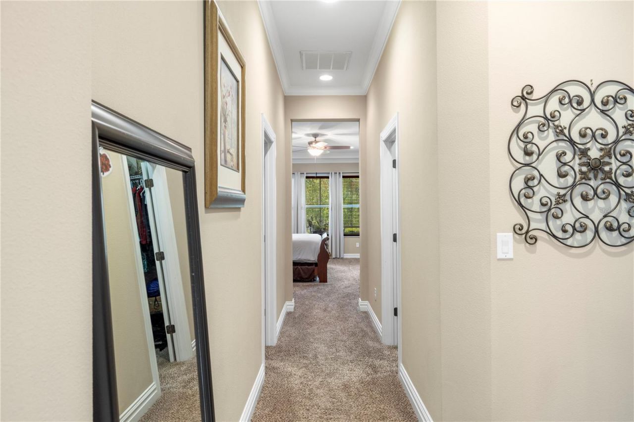 16726 Courtyard Loop, Land O Lakes, FL 34638 Photo