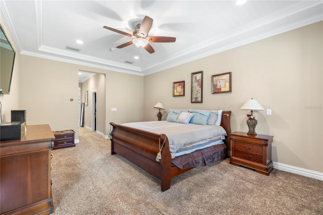 16726 Courtyard Loop, Land O Lakes, FL 34638 Photo