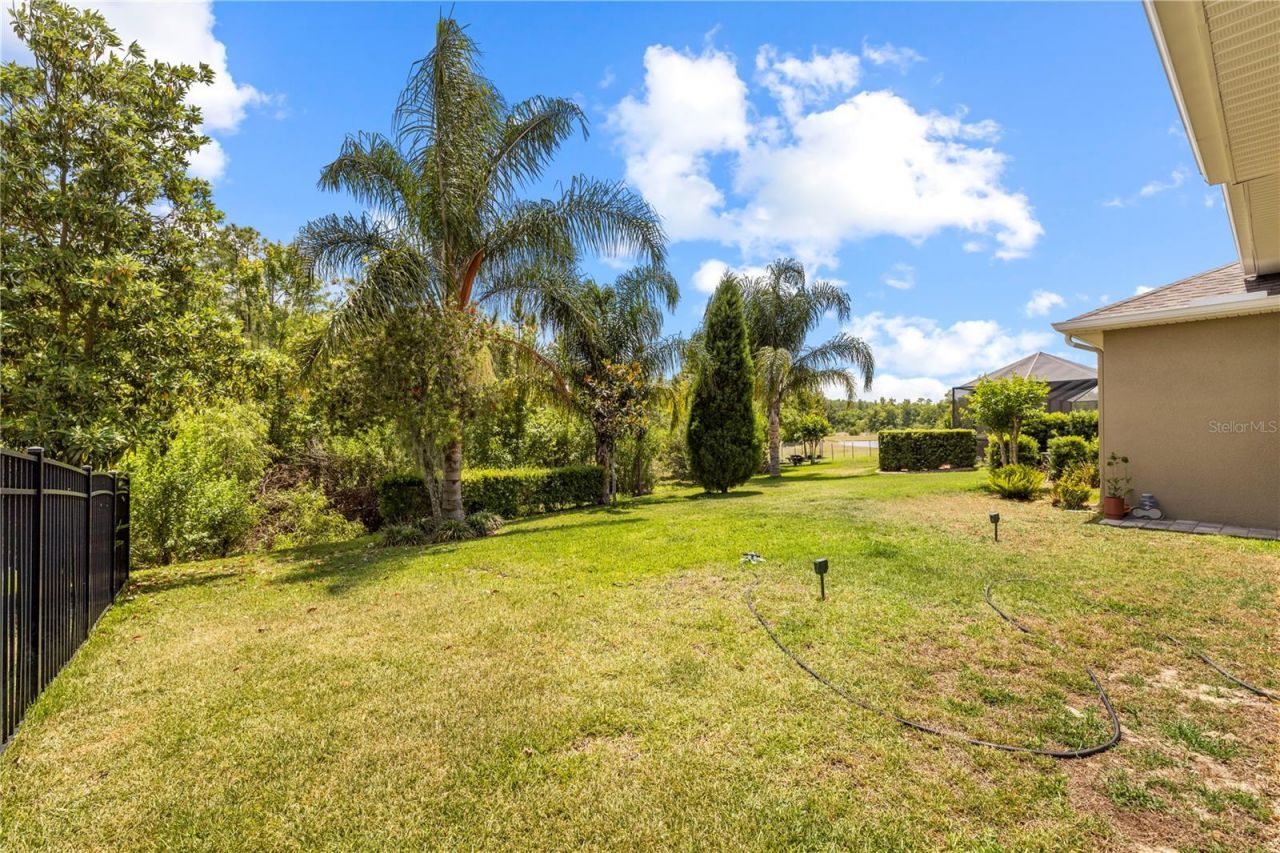 16726 Courtyard Loop, Land O Lakes, FL 34638 Photo