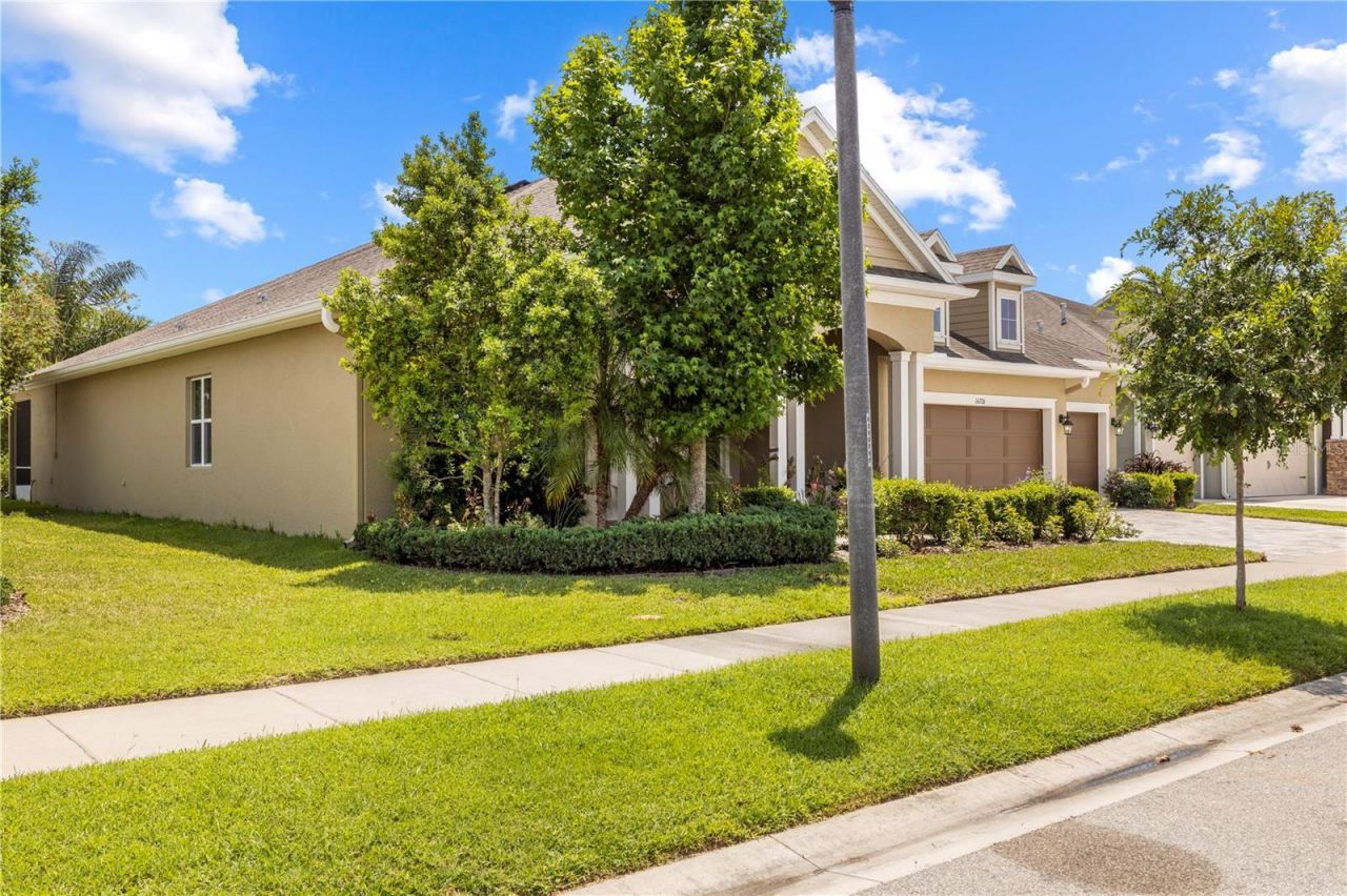 16726 Courtyard Loop, Land O Lakes, FL 34638 Photo