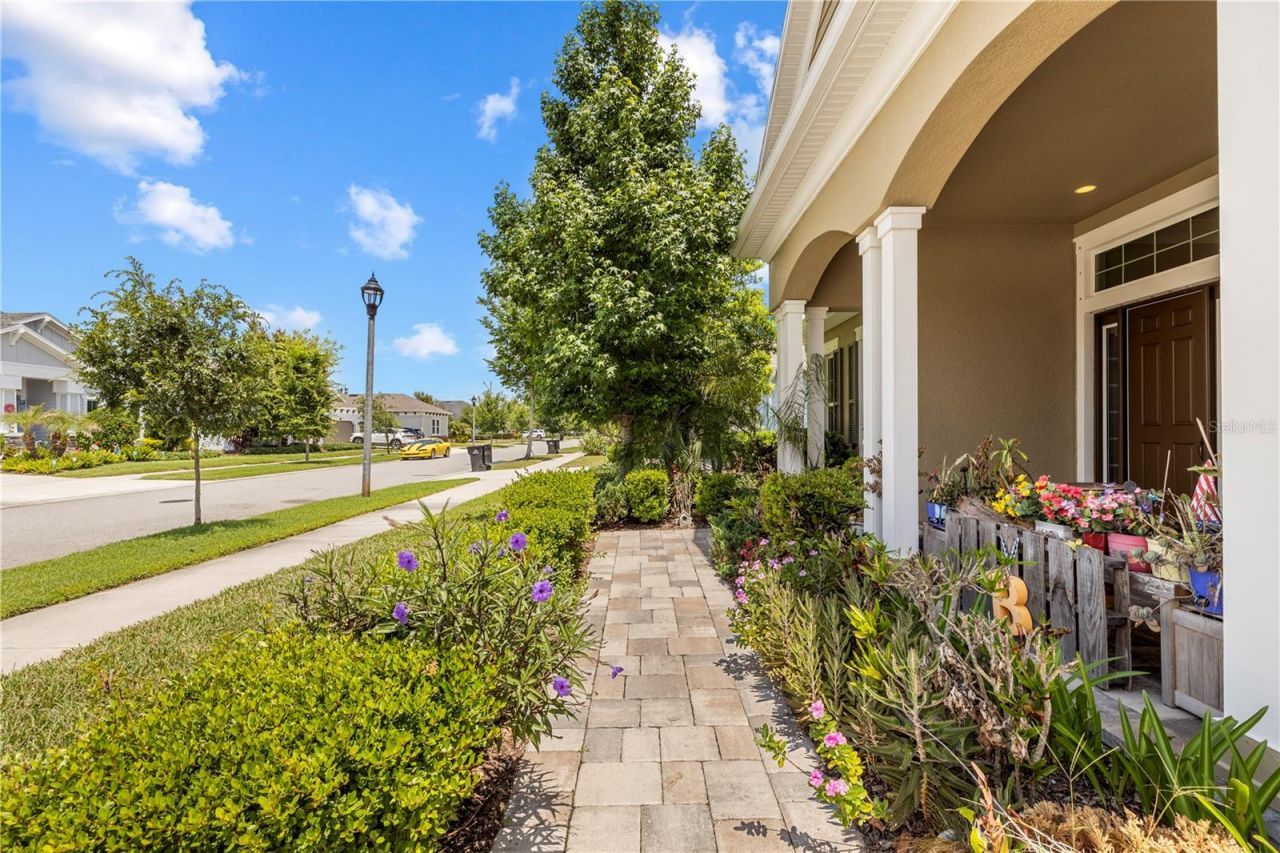 16726 Courtyard Loop, Land O Lakes, FL 34638 Photo